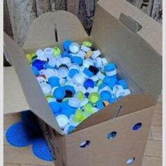 【成約済】ペットボトルキャップ◆大量◆洗浄済