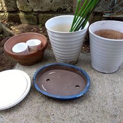 無料　陶器の植木鉢他