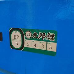 太郎鯉/ 鯉のぼり