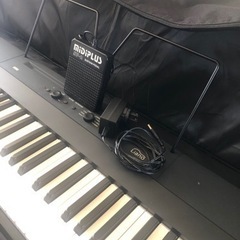 【ネット決済】Korg    Liano