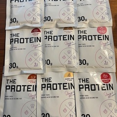 THE PROTEIN ９点
