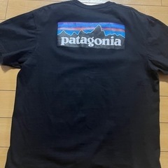 PatagoniaTシャツ