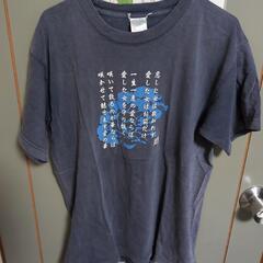 宇都宮周辺お届け可能。相談下さい。服/ファッション Tシャツ ２枚組