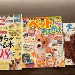 【美品】犬/本/飼い方/育て方