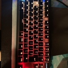 【ネット決済・配送可】APEX PRO TKL