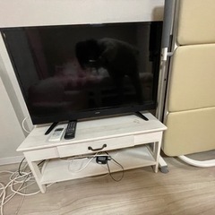 家電 テレビ 液晶テレビ