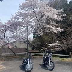 アメリカンバイク集合