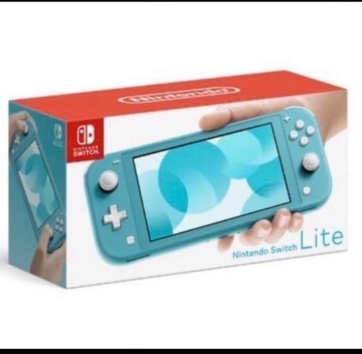 その他 Nintendo  Switch lite