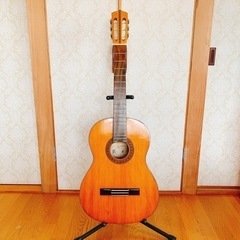 鈴木製ガットギター