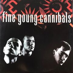 LPレコード　ファイン・ヤング・カニバルズ(Fine Young...