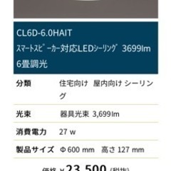 Iris Ohyama CL6DL-6.0HAIT ライト