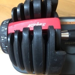 可変式ダンベル24キロ2個セット