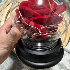 赤いバラの電飾付きの置物