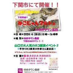 ☆ねこにゃんマルシェ☆inゆめタウン長府の画像