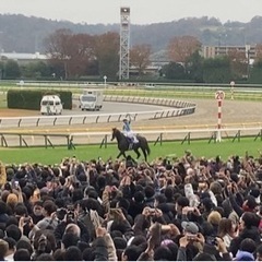 競馬大好き新メンバー募集中💚