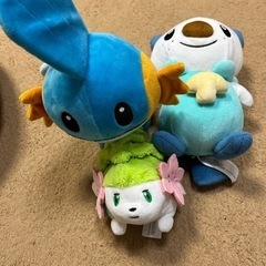 ポケモンセンター限定　ぬいぐるみ決まりました