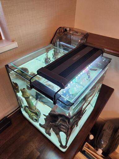 【お得！】オシャレなキューブ型の水槽！