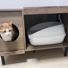 【受け渡し決定】猫用トイレタリーキャビネット