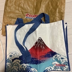コストコバック2個 富士山20周年