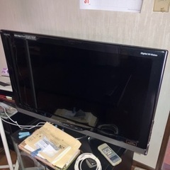 【本日明日のみ】【無料】テレビ