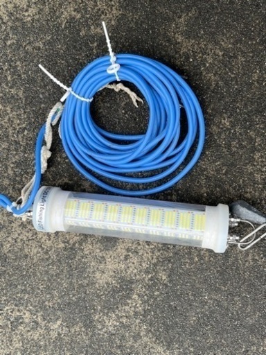 釣り、シラスウナギ - ガーデニング 