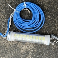 釣り、シラスウナギ