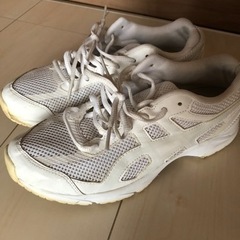 ★運動靴★通学靴　25センチ白　ホワイト　靴/バッグ 靴 スニーカー