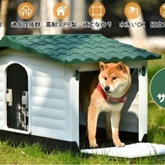 犬小屋　ドッグハウス　ハウス　屋外　室内