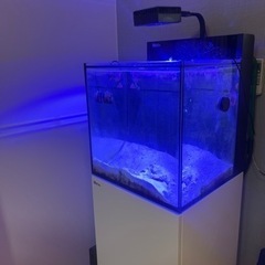 レッドシー　マックスナノ水槽本体