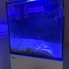 レッドシー　マックスナノ水槽本体