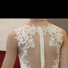 服/ファッション ブラウス