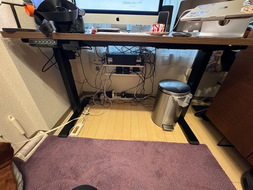 FLEXISPOT 電動式スタンディングデスク EF1（完成品での引き渡し）