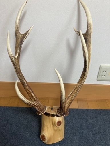 鹿角　鹿角オブジェ