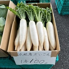 大根　一本200円