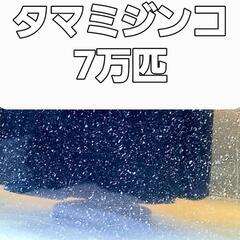 決まりました　21日(日)　12時　　　　　　　　　　　　　　　...