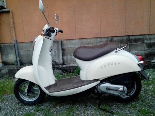 ホンダ、スクーピー　実働車、程度良好。