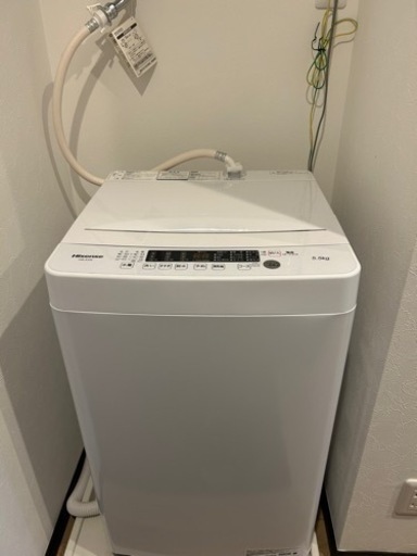 家電 生活家電 洗濯機