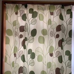 ニトリ製🍃緑の葉っぱカーテン2枚組🍃