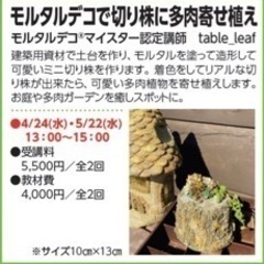 モルタルデコ®︎で切り株作って多肉寄せ植え教室