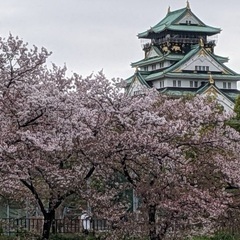 4月9日(火)ジャンカラ新金岡店にて(^^)