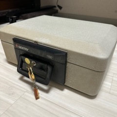 SENTRY セントリー Fire-safe 耐火 金庫 