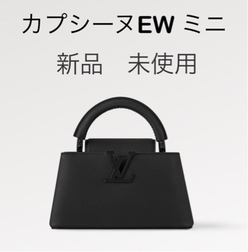 VUITTON  カプシーヌEW ミニ