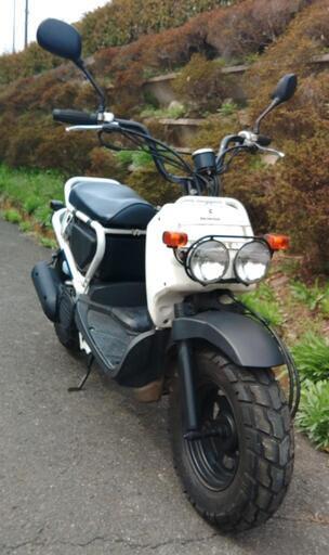 ズーマー　白　(No.2122) ズーマー 白 (No.2122)