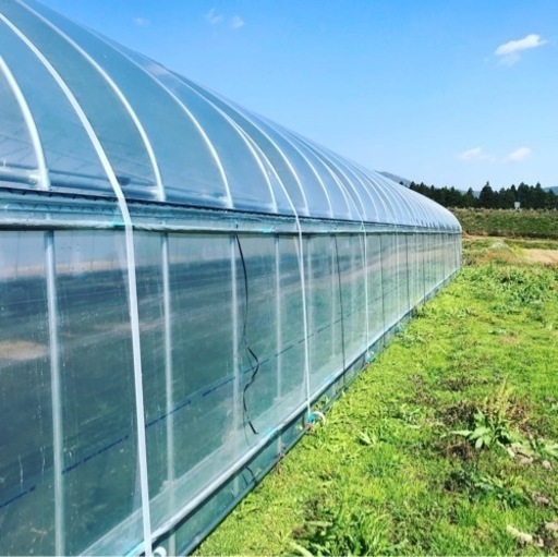 【7月末日で一旦〆切】ビニールハウス／パイプハウス×1棟 7月末日で一旦〆切】ビニールハウス／パイプハウス×1棟