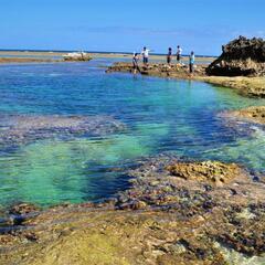 Tide pool 磯遊び好きな人