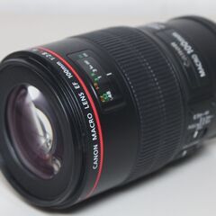 【ネット決済・配送可】Canon/EF100mm F2.8Lマク...