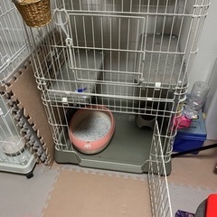 猫　ゲージ　2段　※説明文必読