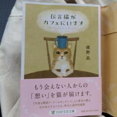 伝言猫がカフェにいます　小説