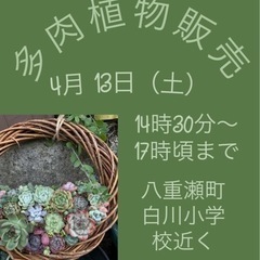 多肉植物　販売会