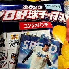 プロ野球チップスの2023第二弾スターカード宮崎敏郎さんら希望。...